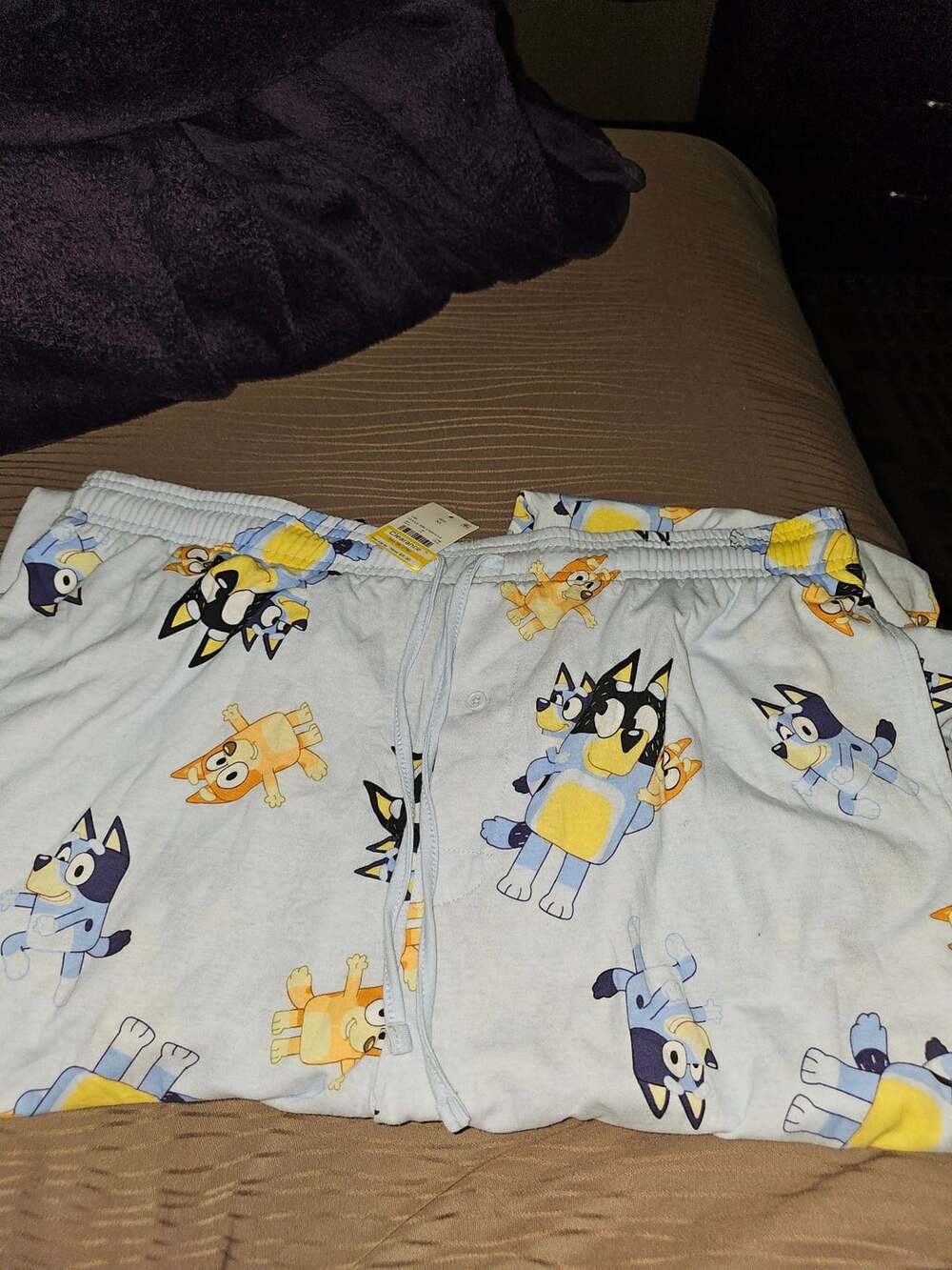 Bluey Pajama Pants Size XL Blue Character Sleepwear
